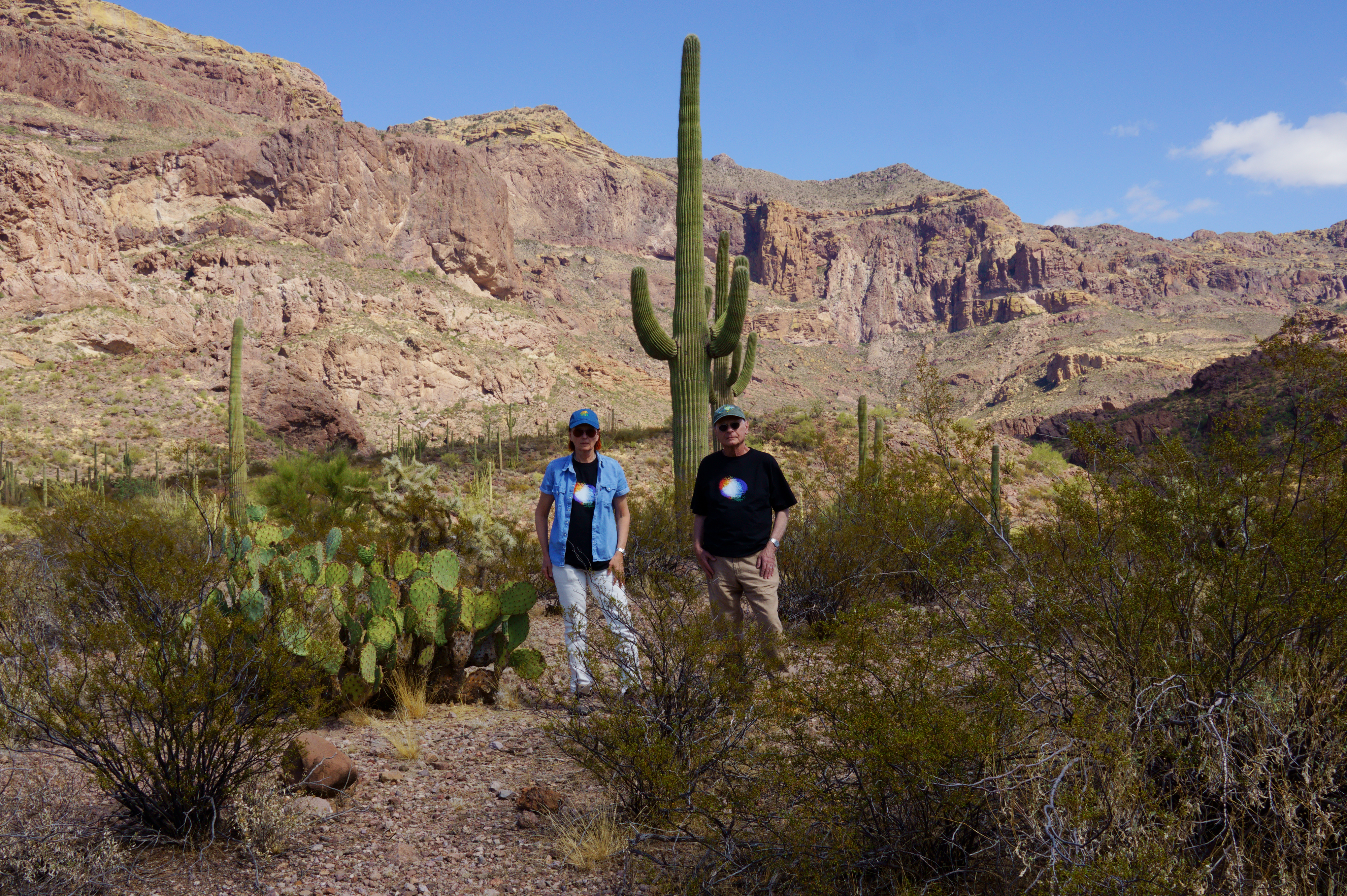 OrganPipeNationalMonument2